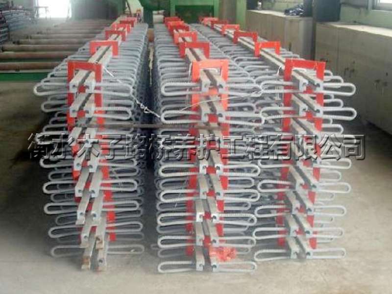 GQF混合式模數(shù)伸縮縫圖片3 GQF混合式模數(shù)伸縮縫圖片3