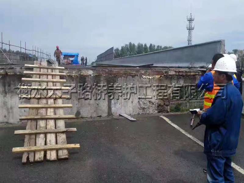 鶴崗--鶴大高速--橋梁整體增高圖片3