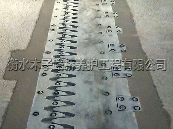 湖北--伸縮縫安裝