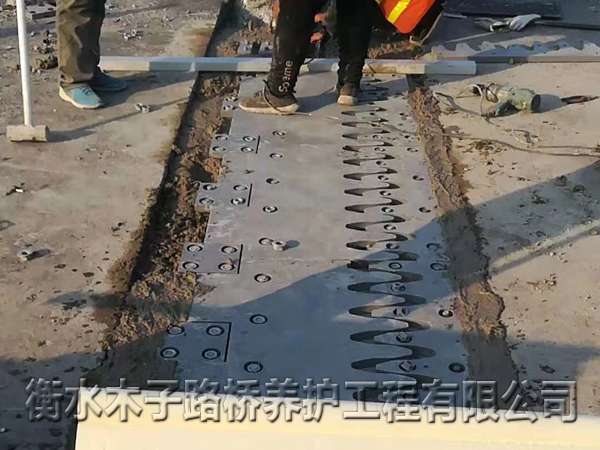 湖北--伸縮縫安裝圖片6